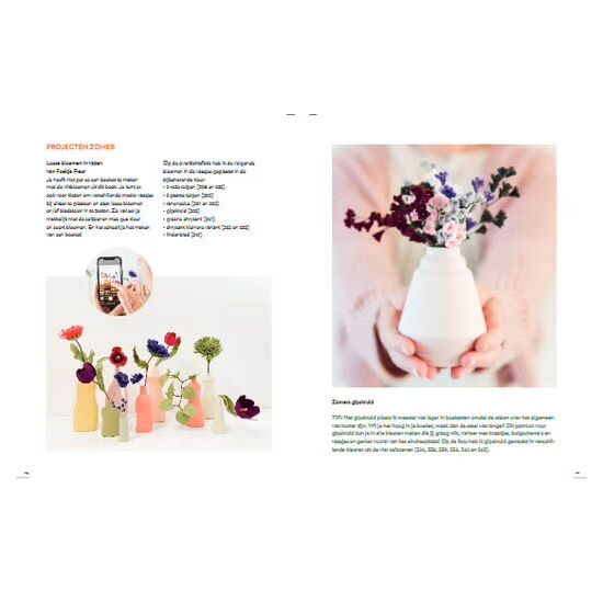 Viltbloemen voor elk seizoen - Forte Creatief haakboek | hobbygigant.nl