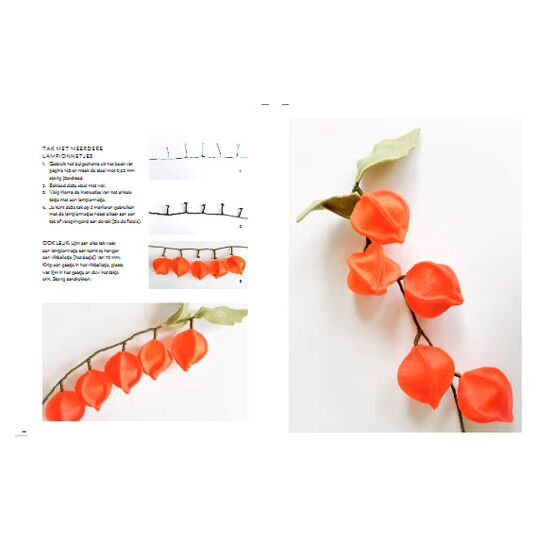 Viltbloemen voor elk seizoen - Forte Creatief haakboek | hobbygigant.nl