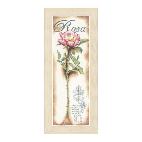 Borduurpakket Lanarte