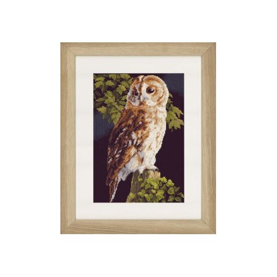 Lanartepakket borduurpakket