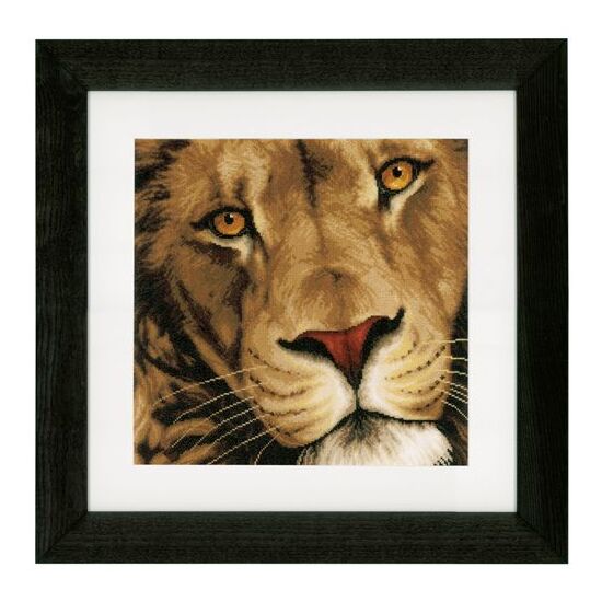 Borduurpakket Lanarte