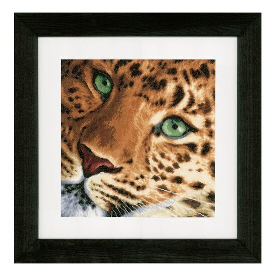 Borduurpakket Lanarte