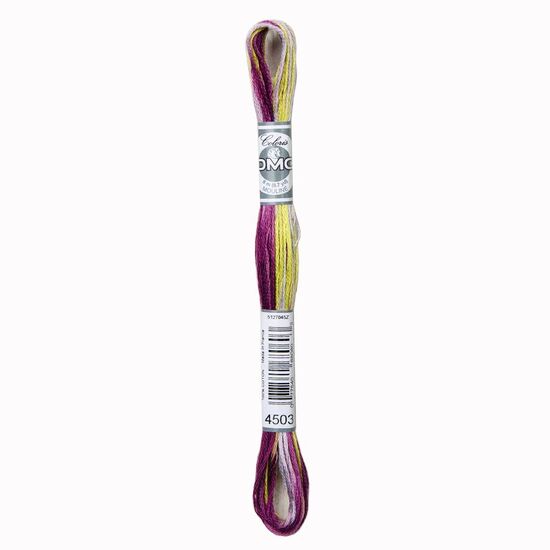 DMC Coloris 4503