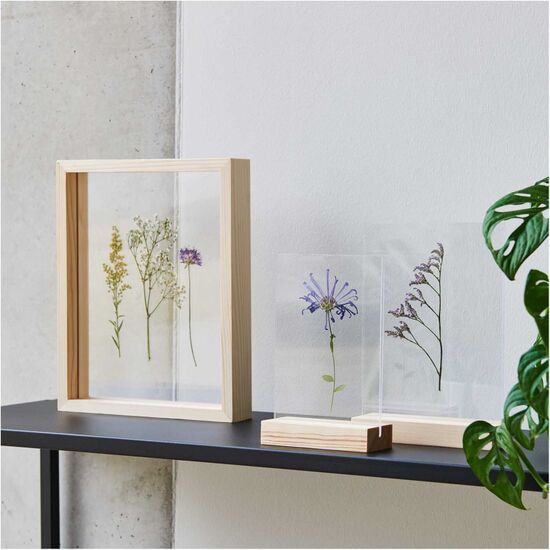 Houten lijst Naturel met dubbele acrylplaat 20 x 25 cm Rico Design | HobbyGigant Houten lijst Naturel met dubbele acrylplaat 20 x 25 cm Rico Design | HobbyGigant
