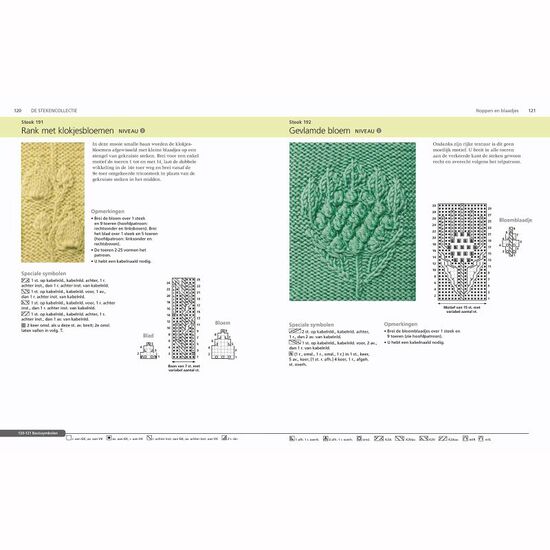 De Breibijbel - Lesley Stanfield en Melody Griffiths | HobbyGigant