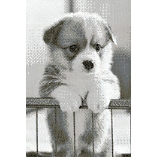 Puppy borduurpakket - kruissteek telpatroon - Marie Coeur | kruissteek borduren | hobbygigant.nl