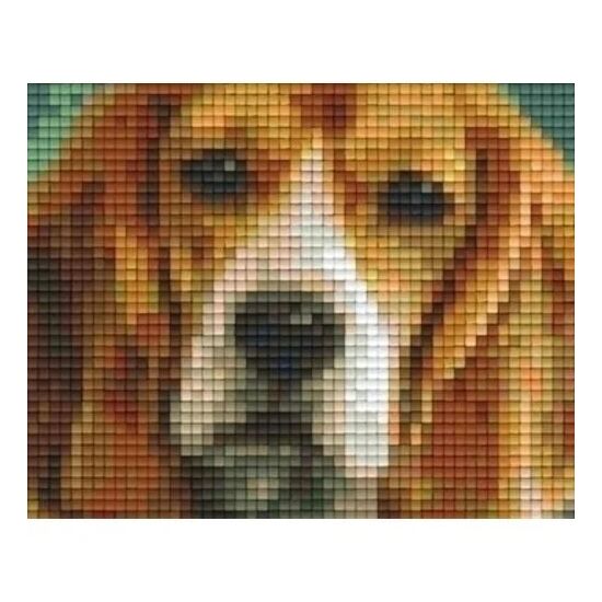 Pixelhobby Classic Beagle Hond 10x12 cm | hobbygigant.nl