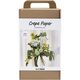 Bloemenboeket maken van crêpepapier - hobbyset Creativ Company | hobbygigant.nl Bloemenboeket maken van crêpepapier - hobbyset Creativ Company | hobbygigant.nl