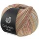Lana Grossa Cotonella Multi 113 | hobbygigant.nl