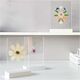 Houten standaard Wit met dubbele acrylplaat 10 x 15 cm Rico Design | HobbyGigant Houten standaard Wit met dubbele acrylplaat 10 x 15 cm Rico Design | HobbyGigant