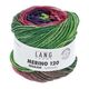 Lang Yarns Merino 120 Dégradé 08 | 100% merino wol | hobbygigant.nl