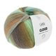 Lang Yarns Cloud | wol en garen | hobbygigant.nl